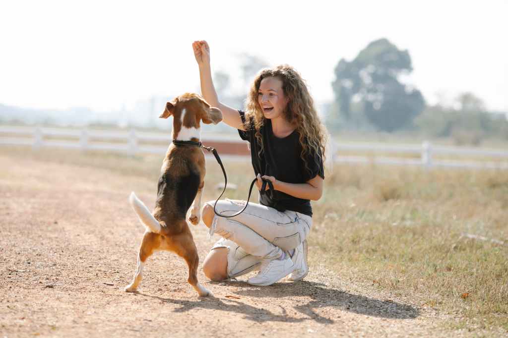 Happy dog training advanced tricks